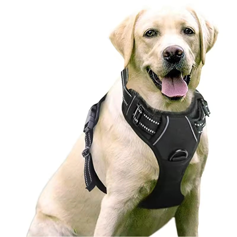 Dog Harness