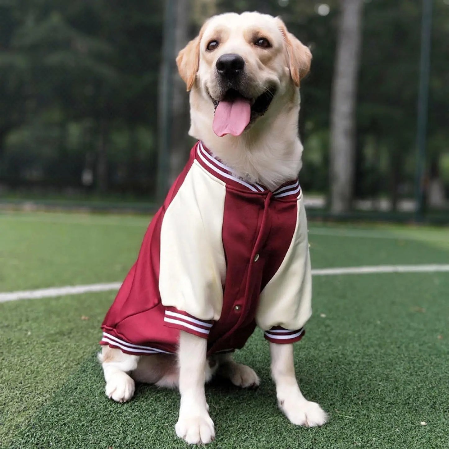 Baseball-style T-shirt for dogs with classic design.