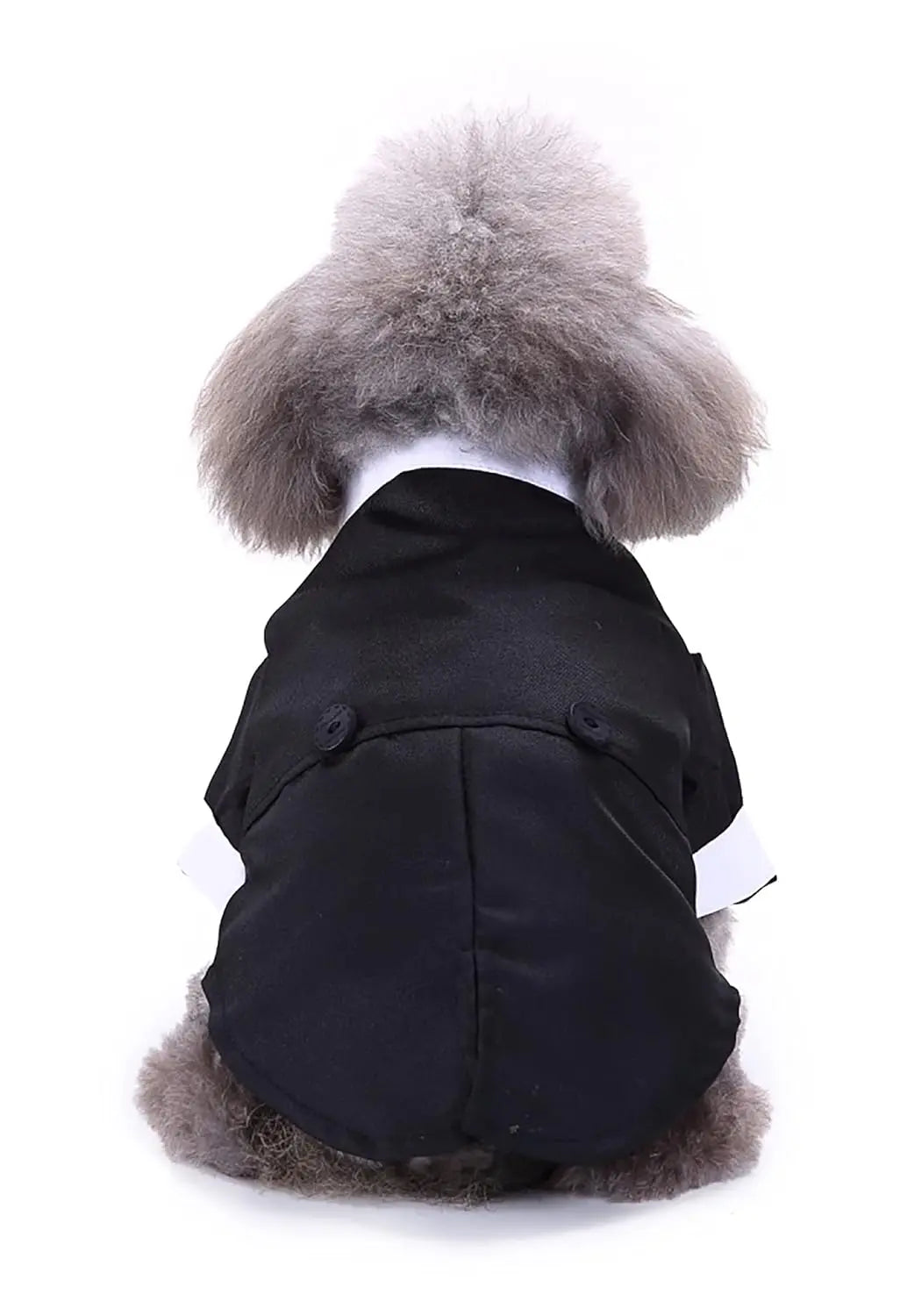 Black tuxedo attire for dogs, designed for a sophisticated look.