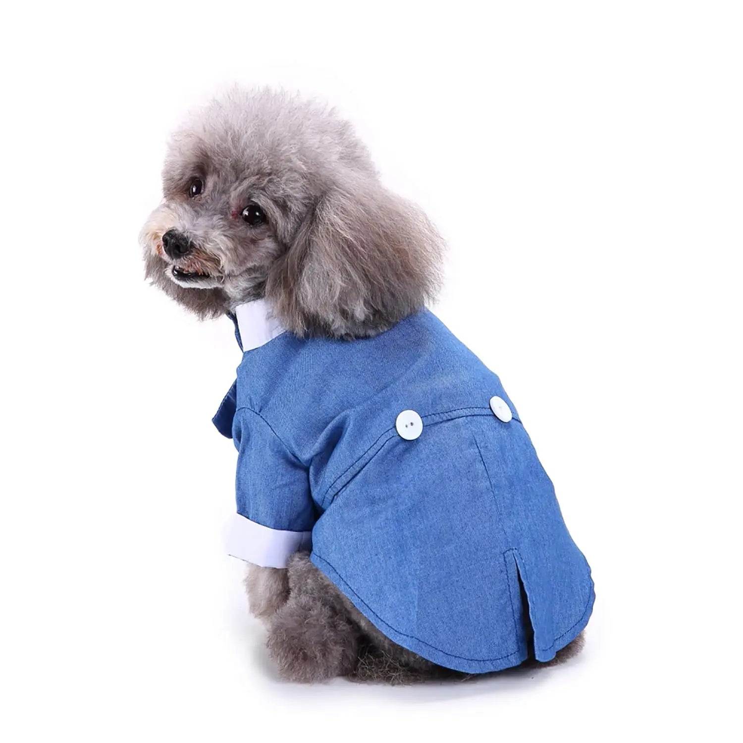  Blue tuxedo attire for dogs, designed for a sophisticated look.