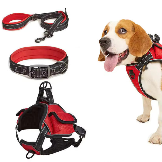 Comfortable mesh no-pull harness designed for large dogs.