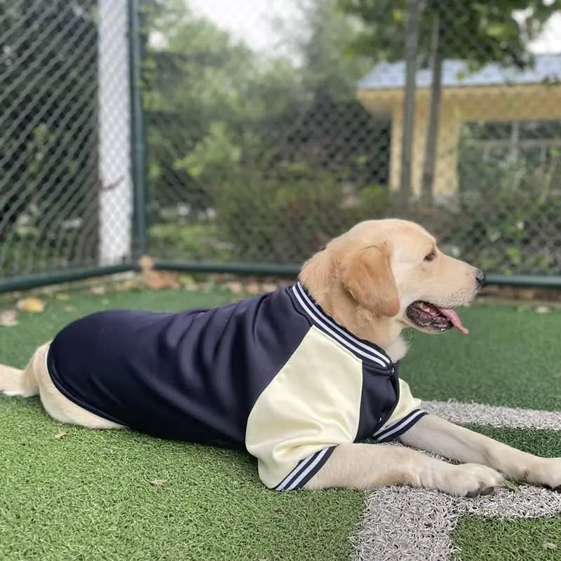 Dog baseball jersey featuring numbers and sporty design.