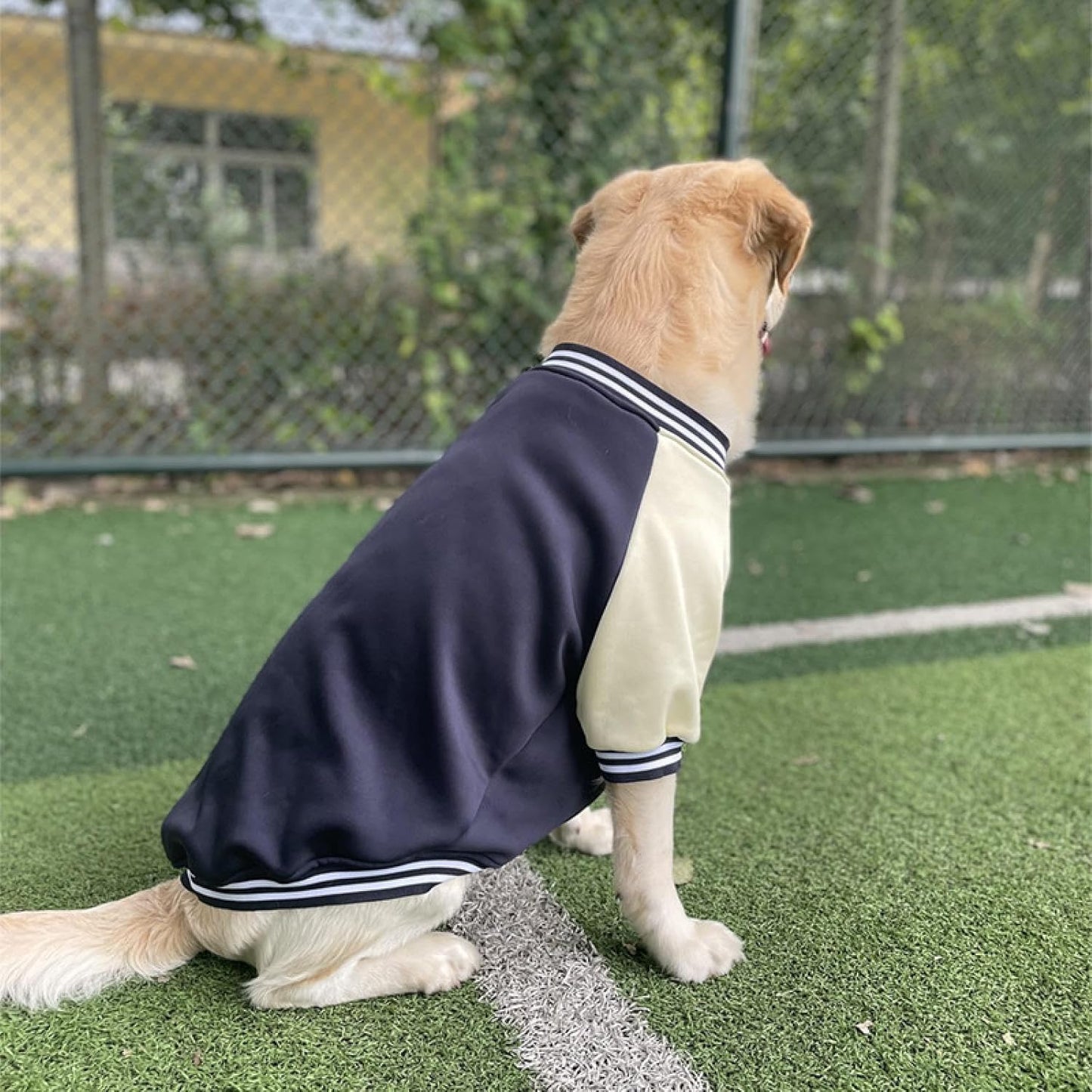 Dog baseball shirt with stripes, ideal for a sporty look.