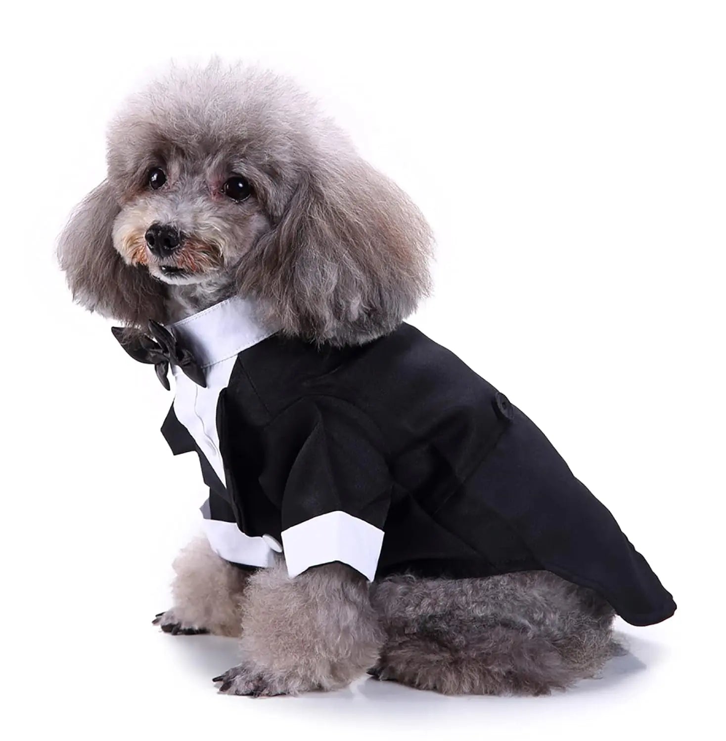 Stylish black tuxedo outfit for dogs, perfect for formal wear.