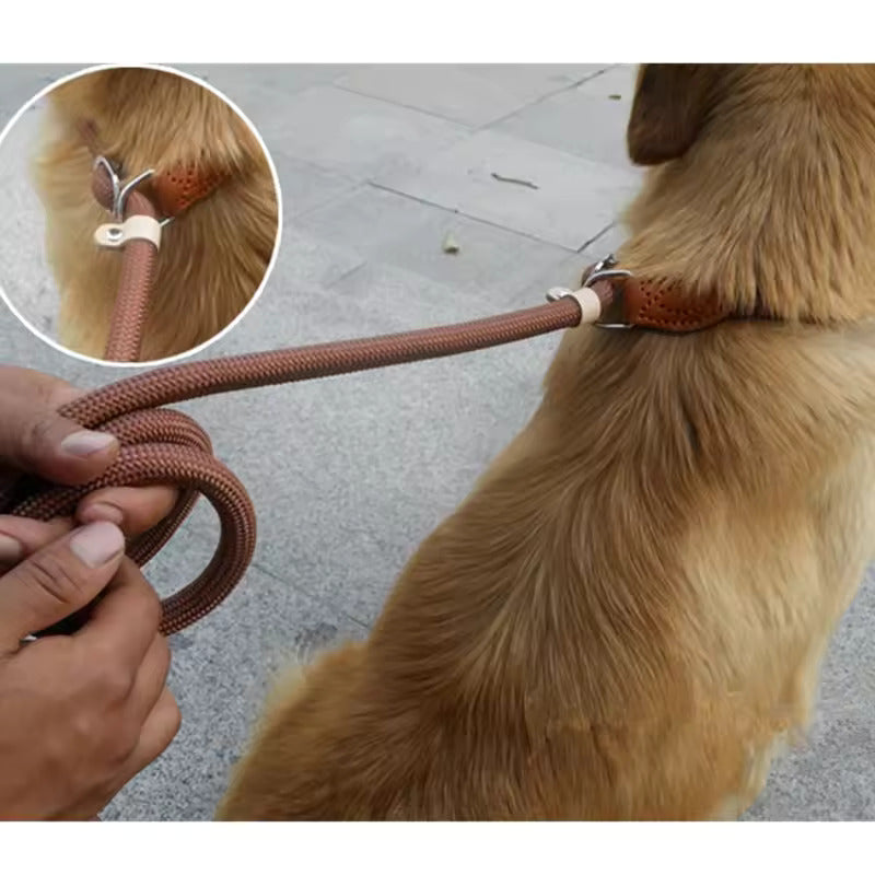 High-quality soft leash with reflective details for pets.