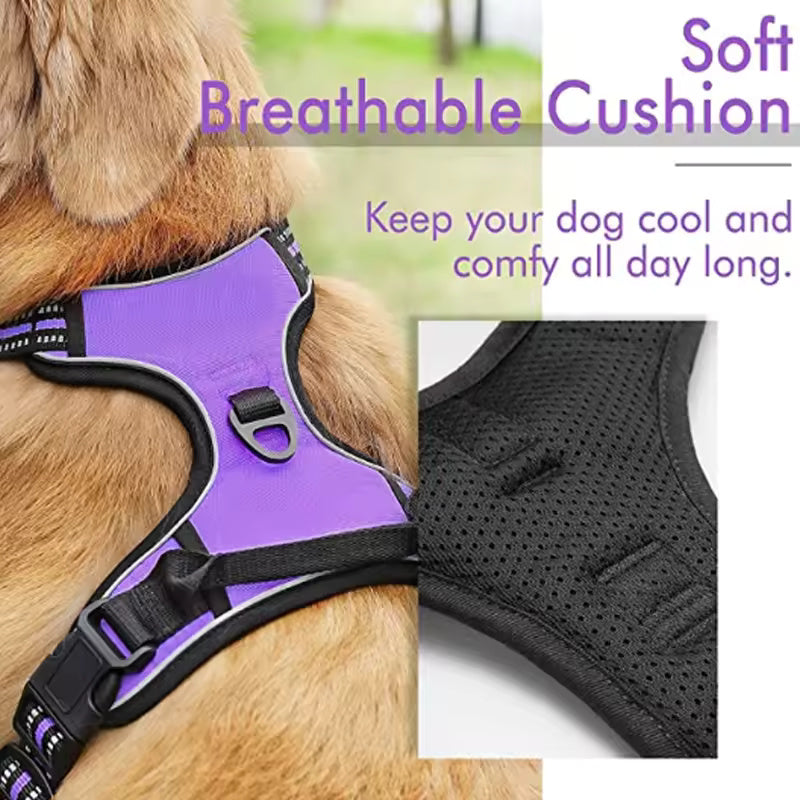 Large dog harness made from breathable mesh material.