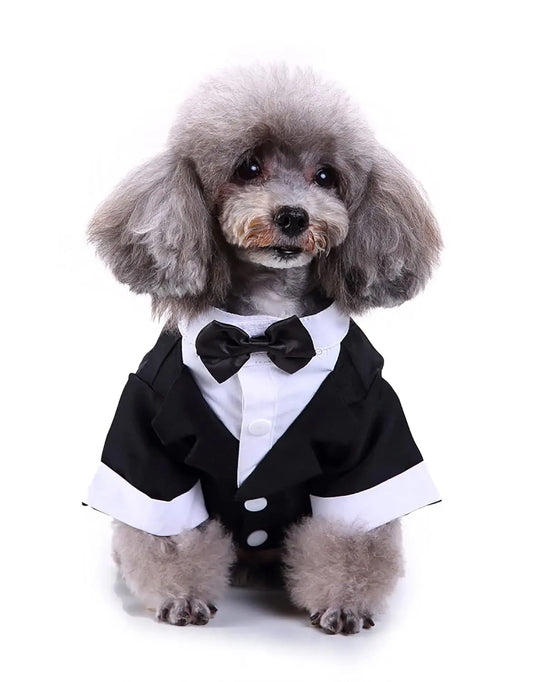 Black tuxedo for pets with a sleek and modern design.