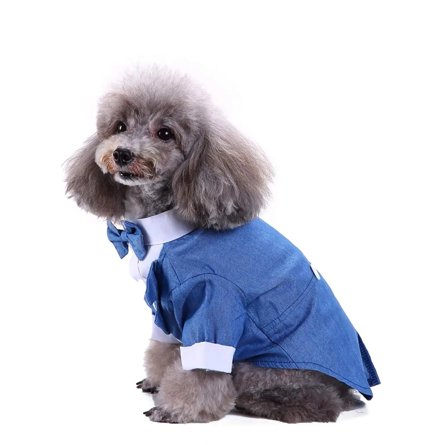 Dog Wedding Outfit Cute | Blue Tuxedo - Petaloons