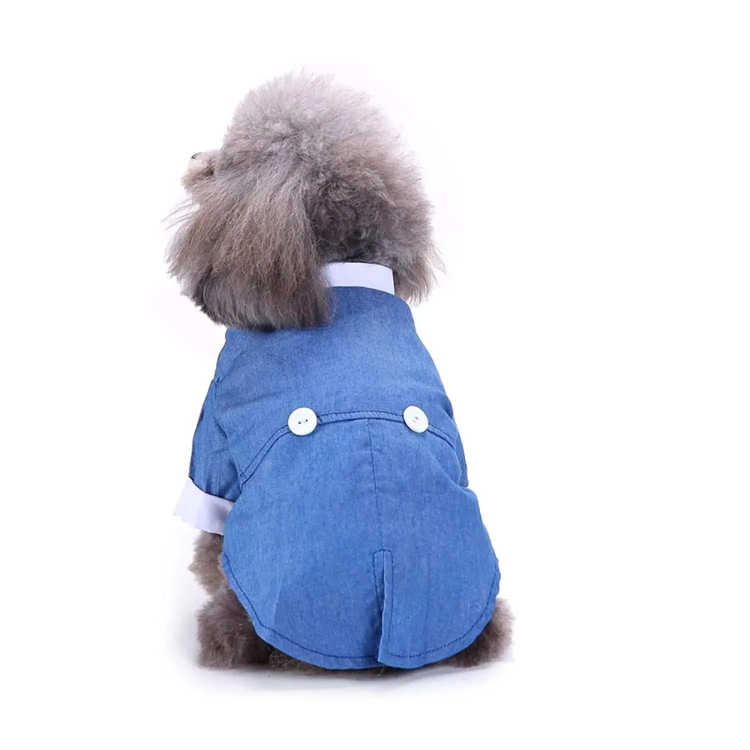  Classic blue tuxedo for pets, ideal for weddings and special events.