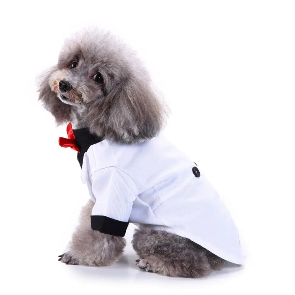 Dog Wedding Outfit Cute | White Tuxedo - Petaloons