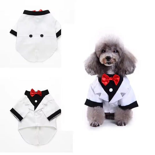 White tuxedo for pets with a sleek and modern design.