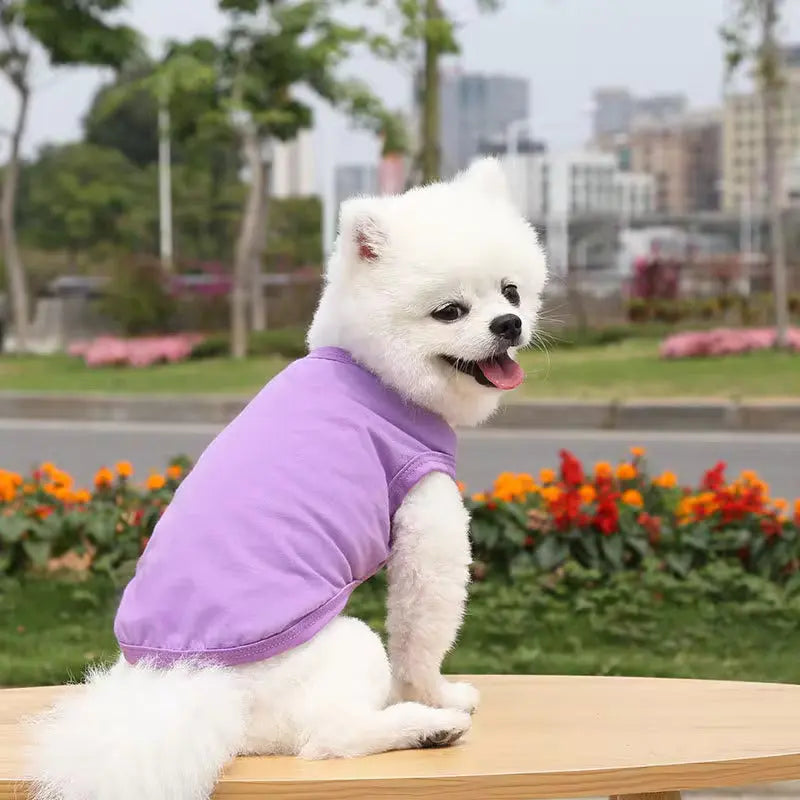 Plain purple pet T-shirt for a classic and elegant style