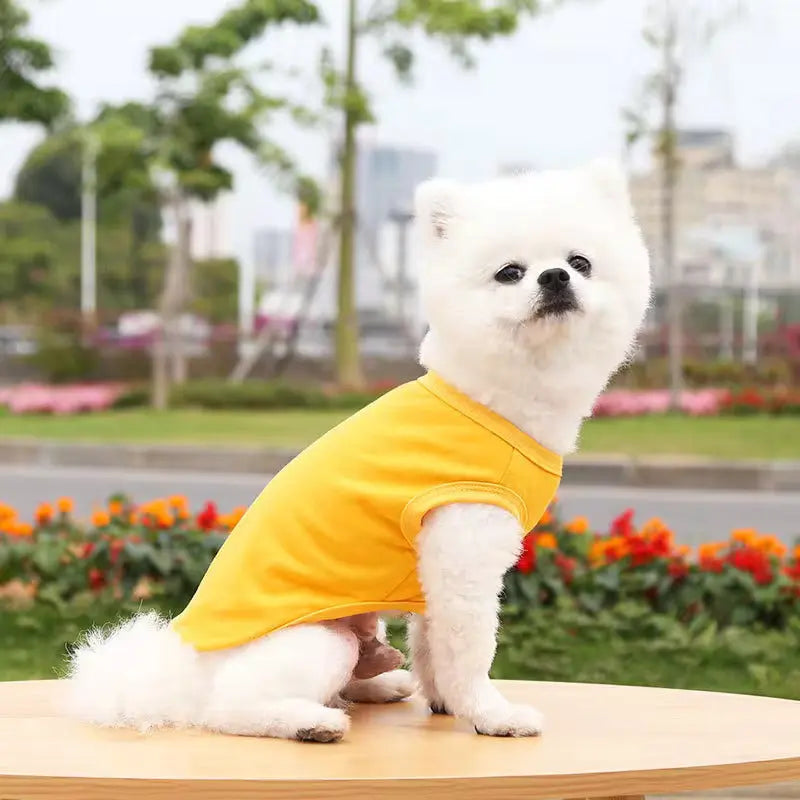 Plain yellow pet T-shirt for everyday wear.