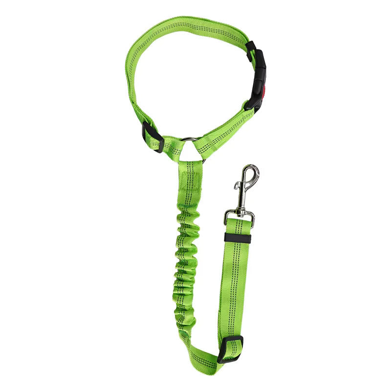 Reflective dog leash with a soft grip for comfortable handling.