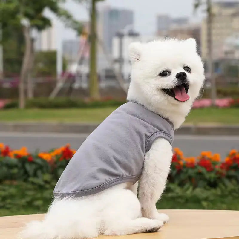 Simple gray T-shirt for dogs, ideal for everyday use.