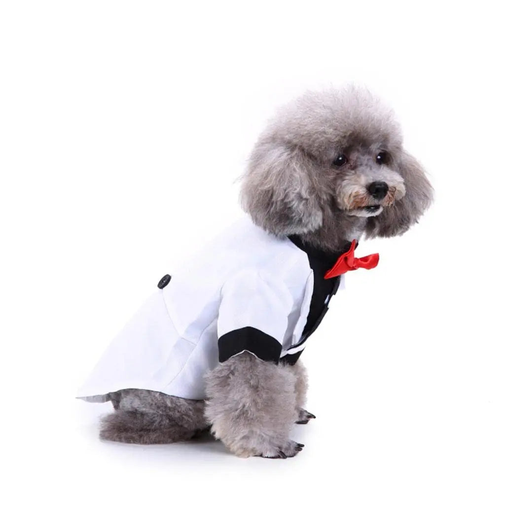 Dog Wedding Outfit Cute | White Tuxedo - Petaloons